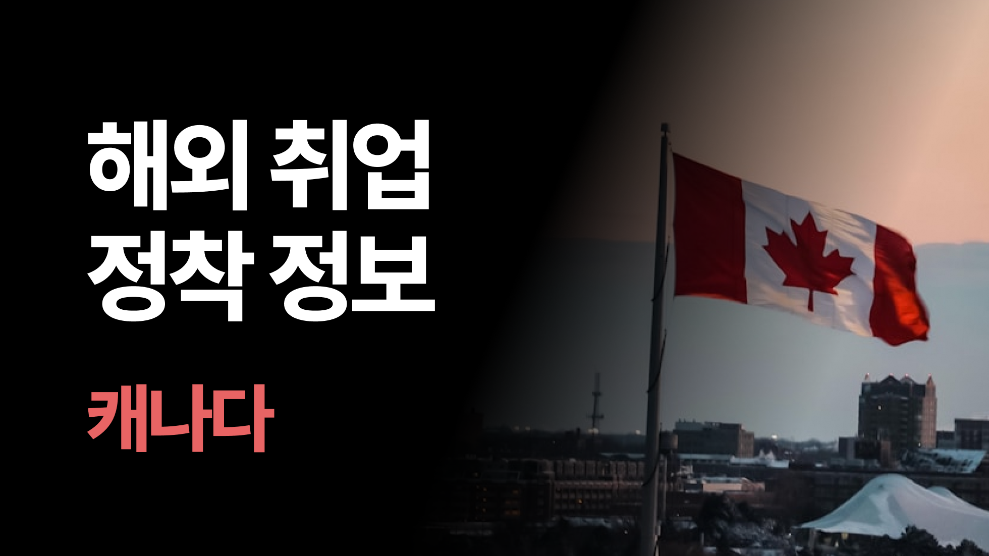 캐나다 취업 A to Z: 석사·박사 연구자라면 반드시 알아야 할 캐나다 비자, 정착 정보